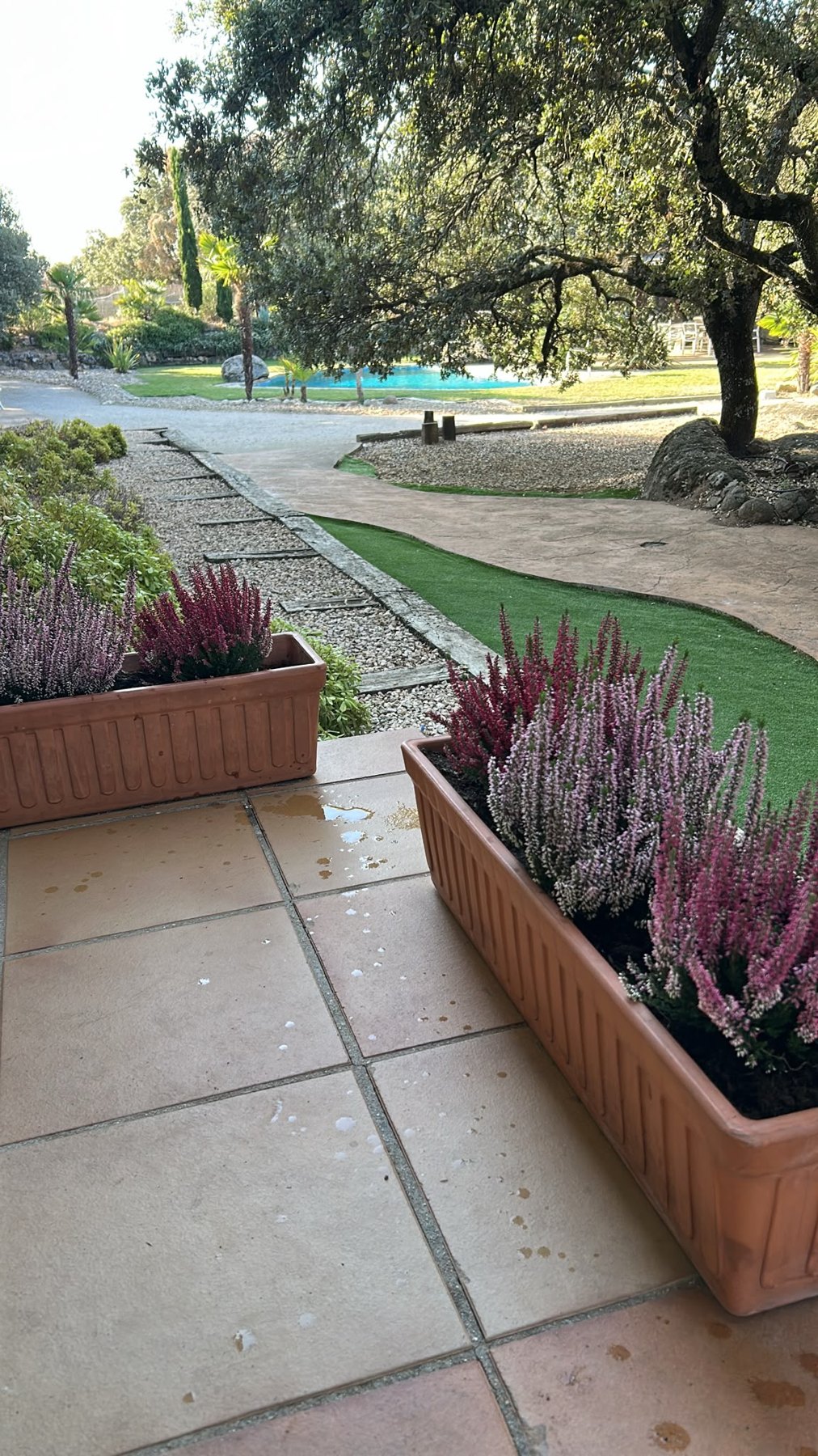 Jardín y piscina vistos desde el porche