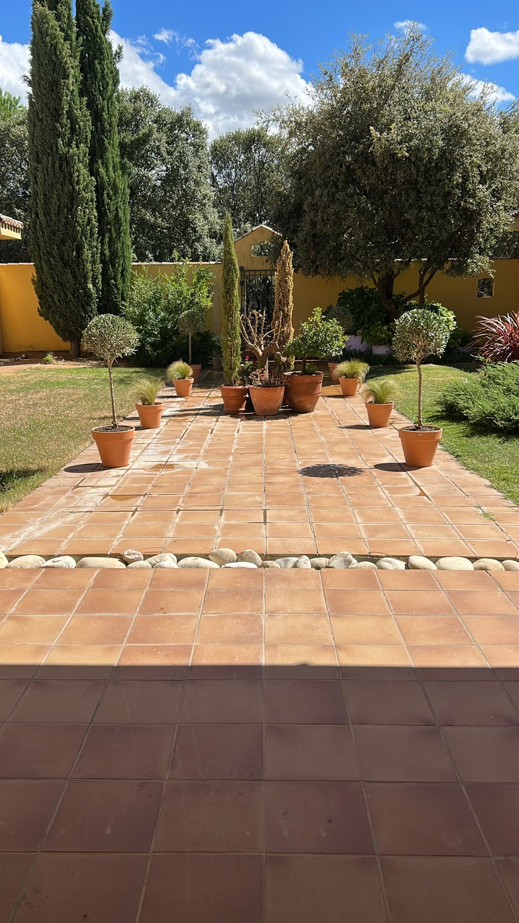 Paseo del jardín entre árboles y macetas